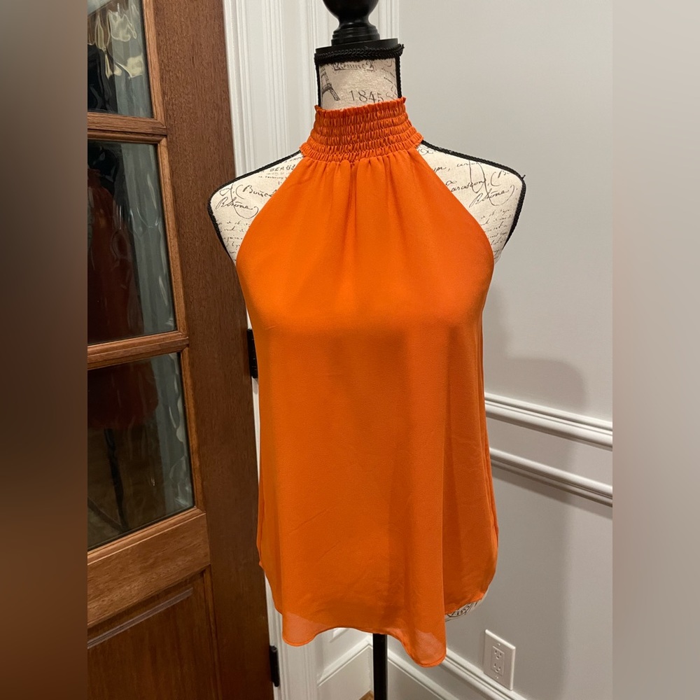 Naked Zebra dark orange fantastic top